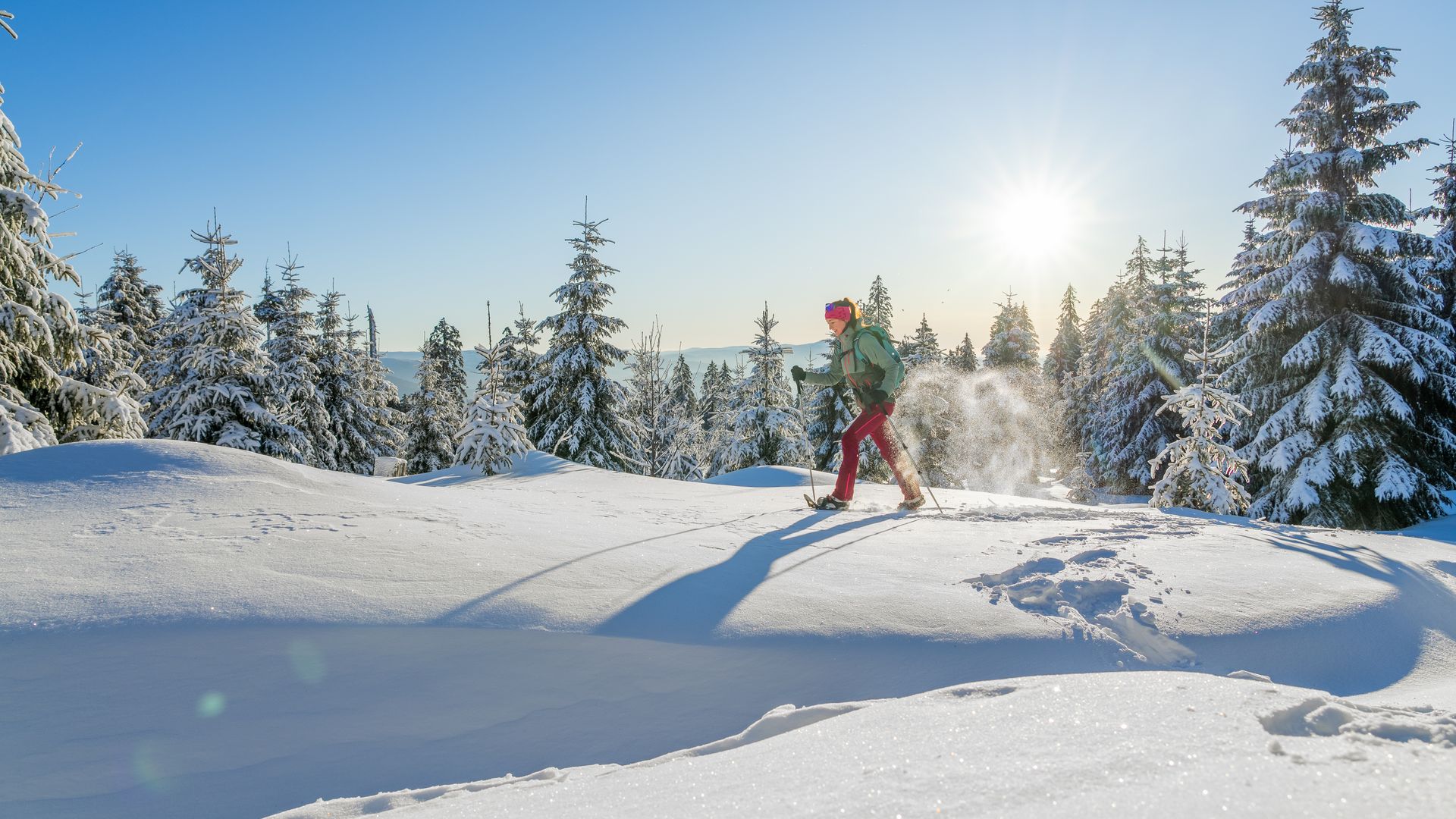 Langlaufen und Winterwandern: Bodenmais im Winter Eine Frau beim Schneeschuhwandern am Mittagsplatzl in Bodenmais - Wintersport nahe dem Welnesshotel Hofbräuhaus im Bayerischen Wald