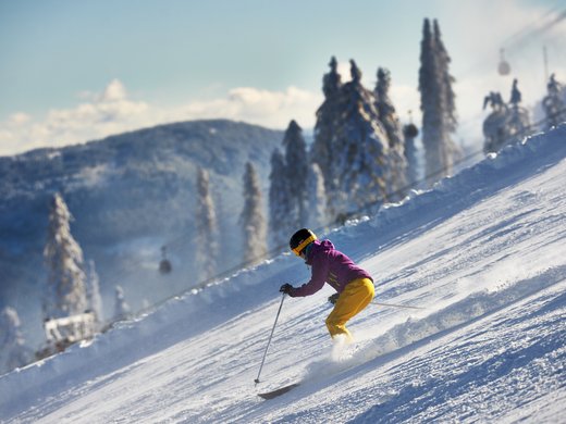 Ihr festlicher Wohlfühlurlaub im Bayerischen Wald – Entspannen, Genießen & Weihnachten feiern Eine Person beim Skifahren im Winter in Bodenmais - Wintersport nahe dem Welnesshotel Hofbräuhaus im Bayerischen Wald