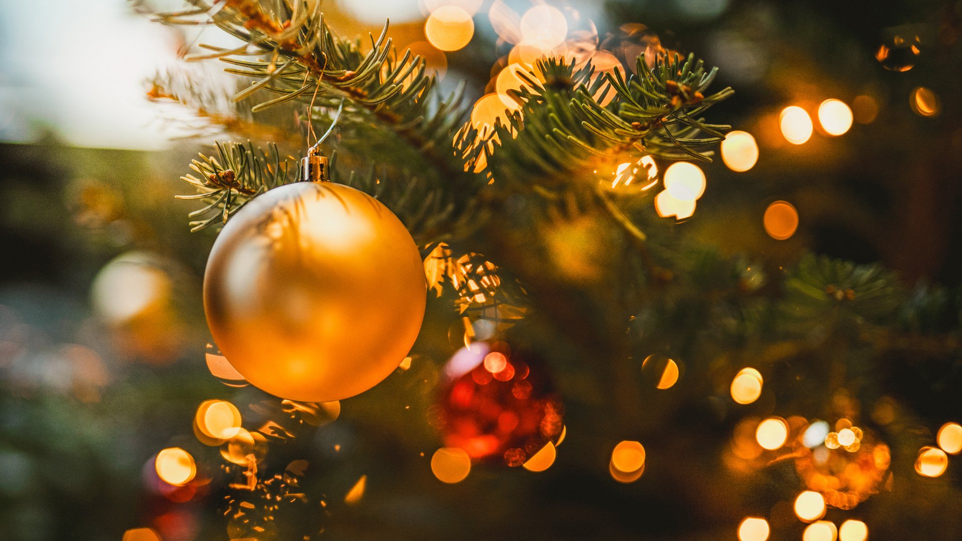 Ihr festlicher Wohlfühlurlaub im Bayerischen Wald – Entspannen, Genießen & Weihnachten feiern