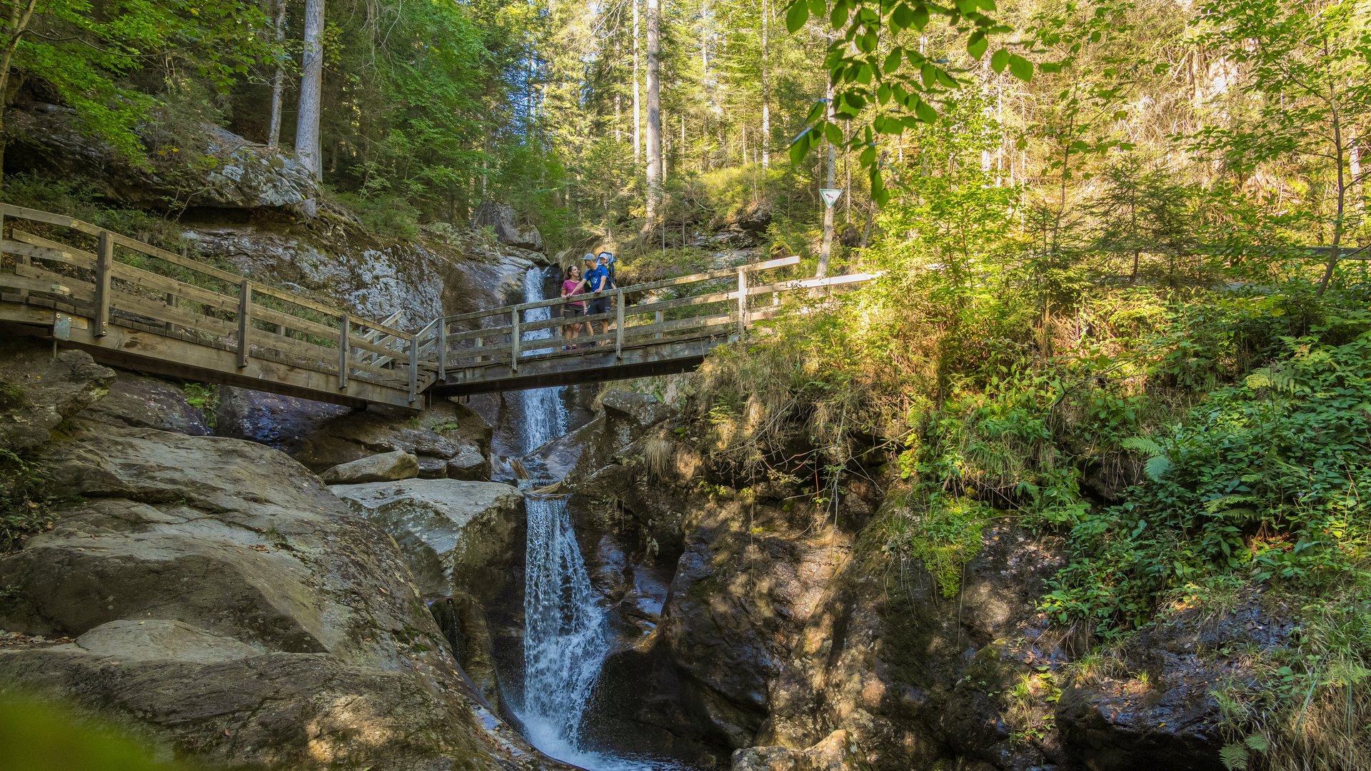 Dieses Bild zeigt eine Familie beim Wandern über den Hochfall bei Bodenmais im bayerischen Wald