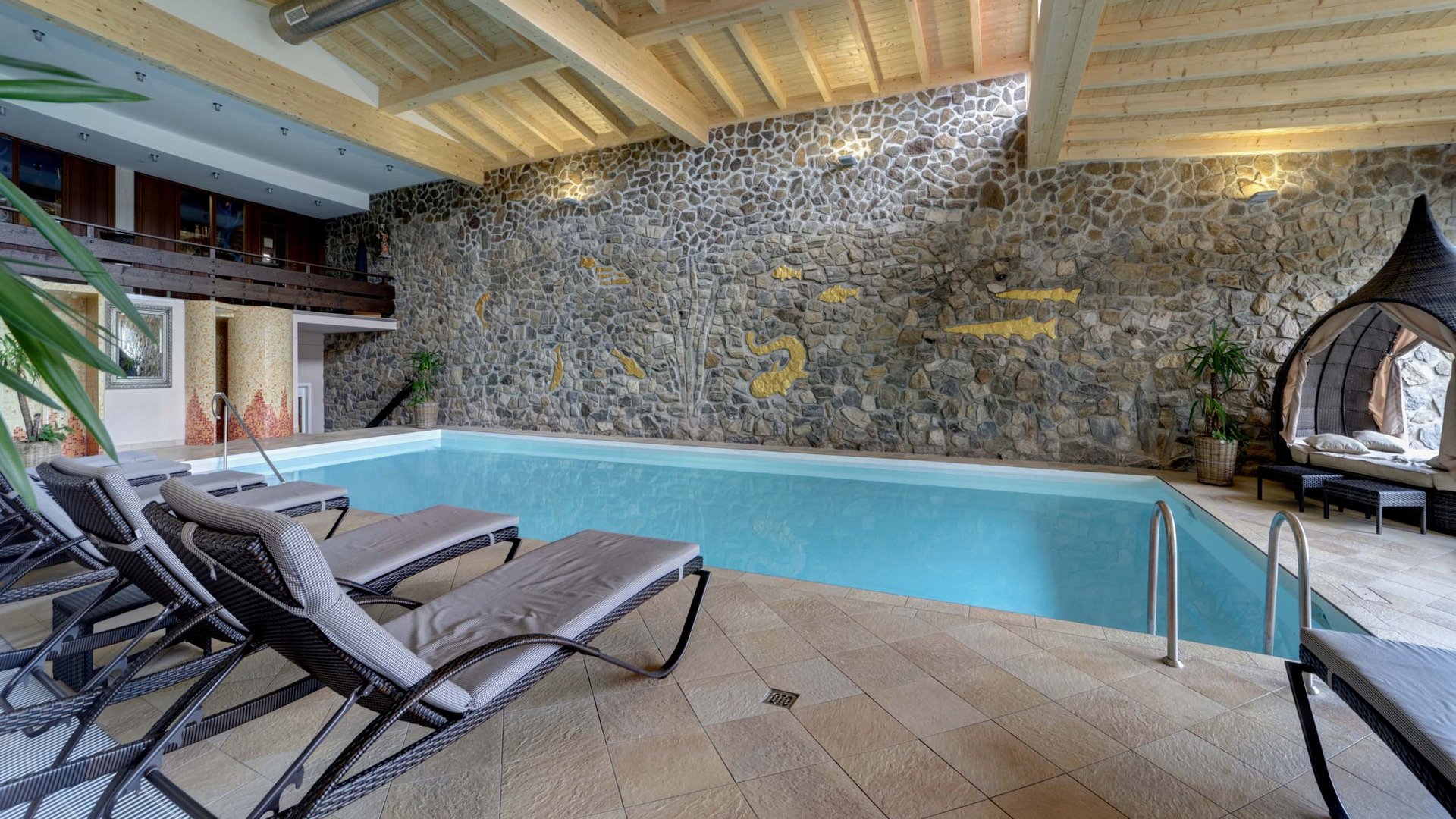 Spa holidays at the hotel in Bodenmais with a swimming pool